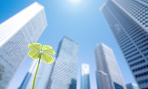 統合失調症の方におすすめの仕事