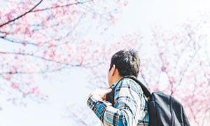 考え方の修正だけじゃない、ストレスコーピングという対処法