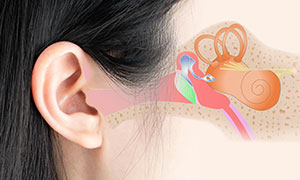 聴覚過敏が発症するメカニズム